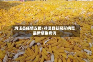 鸡泽县疫情支援/鸡泽县新冠形病毒最新感染病例