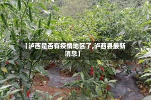 【泸西是否有疫情地区了,泸西县最新消息】