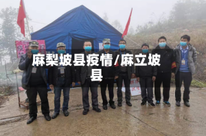 麻梨坡县疫情/麻立坡县