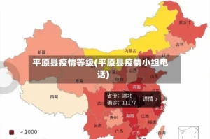 平原县疫情等级(平原县疫情小组电话)