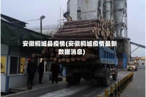 安徽桐城县疫情(安徽桐城疫情最新数据消息)
