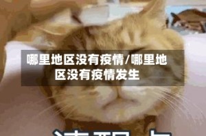 哪里地区没有疫情/哪里地区没有疫情发生