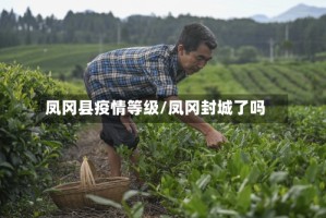 凤冈县疫情等级/凤冈封城了吗