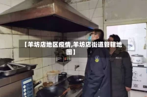 【羊坊店地区疫情,羊坊店街道管辖地图】