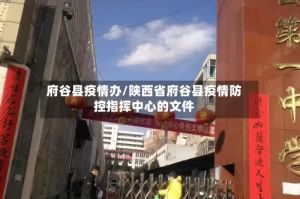 府谷县疫情办/陕西省府谷县疫情防控指挥中心的文件