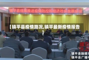 【镇平县疫情路况,镇平最新疫情报告】