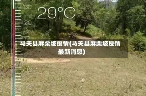 马关县麻栗坡疫情(马关县麻栗坡疫情最新消息)