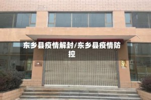 东乡县疫情解封/东乡县疫情防控