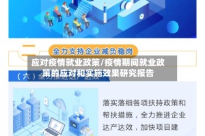 应对疫情就业政策/疫情期间就业政策的应对和实施效果研究报告