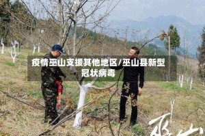 疫情巫山支援其他地区/巫山县新型冠状病毒