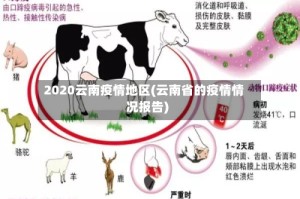 2020云南疫情地区(云南省的疫情情况报告)