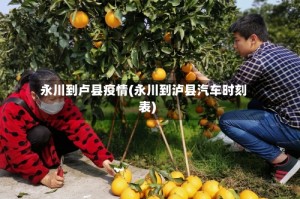 永川到卢县疫情(永川到泸县汽车时刻表)