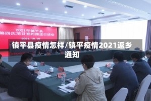 镇平县疫情怎样/镇平疫情2021返乡通知