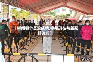 【柳州哪个县没疫情,柳州现在有新冠肺炎吗】