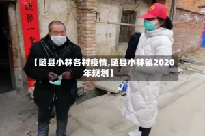 【随县小林各村疫情,随县小林镇2020年规划】