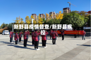 新野县疫情督查/新野县疾控