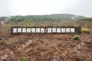 宜章县疫情通告/宜章最新疫情