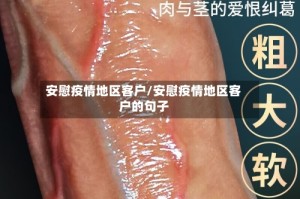 安慰疫情地区客户/安慰疫情地区客户的句子