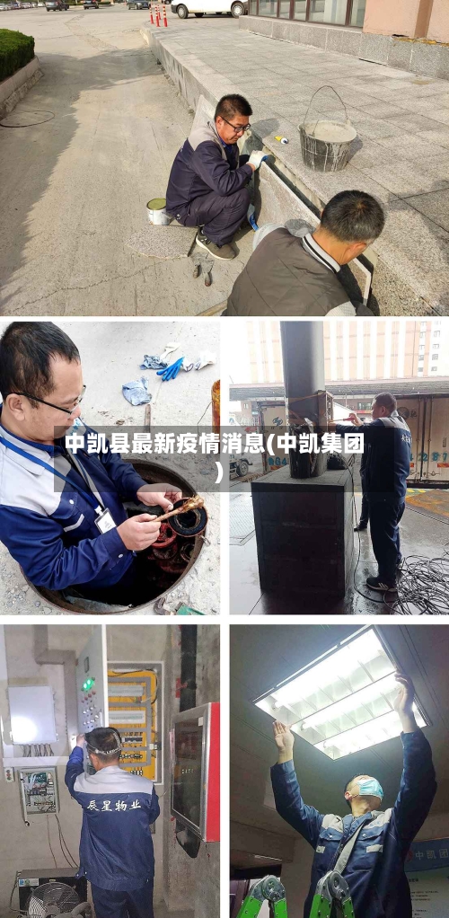 中凯县最新疫情消息(中凯集团)-第2张图片