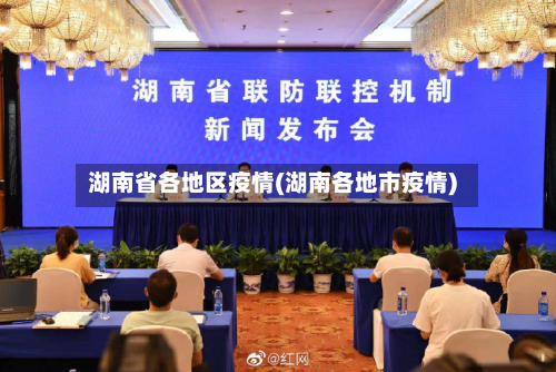 湖南省各地区疫情(湖南各地市疫情)-第2张图片