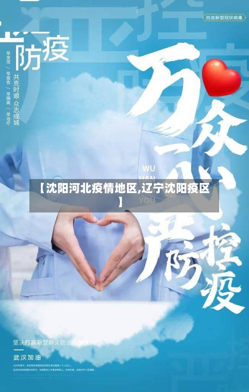 【沈阳河北疫情地区,辽宁沈阳疫区】-第2张图片