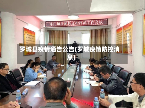 罗城县疫情通告公告(罗城疫情防控消息)-第3张图片