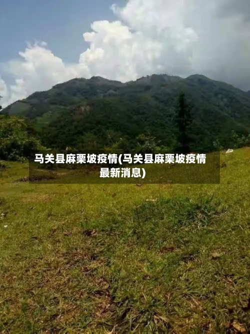 马关县麻栗坡疫情(马关县麻栗坡疫情最新消息)-第2张图片