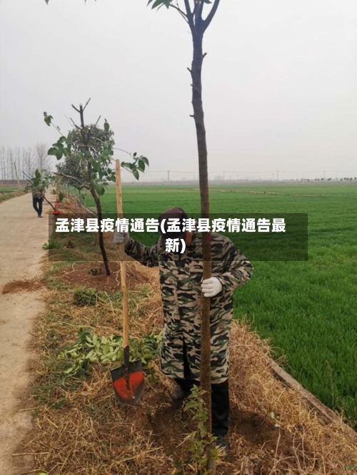 孟津县疫情通告(孟津县疫情通告最新)-第1张图片