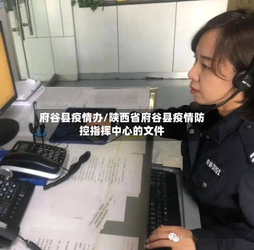 府谷县疫情办/陕西省府谷县疫情防控指挥中心的文件-第3张图片