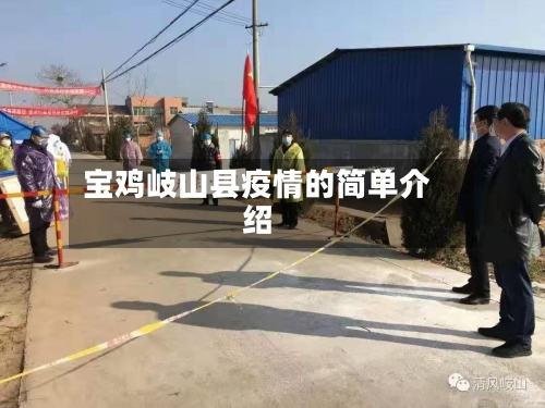 宝鸡岐山县疫情的简单介绍-第2张图片