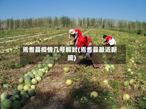 焉耆县疫情几号解封(焉耆县最近新闻)-第3张图片