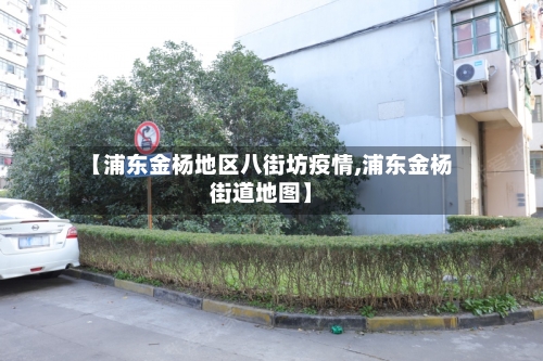 【浦东金杨地区八街坊疫情,浦东金杨街道地图】-第1张图片