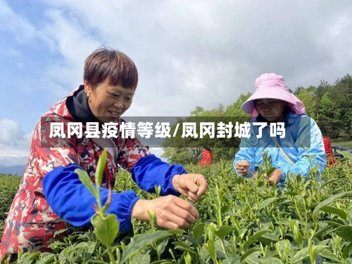 凤冈县疫情等级/凤冈封城了吗-第2张图片