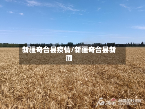 新疆奇台县疫情/新疆奇台县新闻-第2张图片