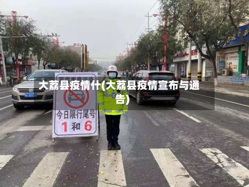 大荔县疫情什(大荔县疫情宣布与通告)-第2张图片