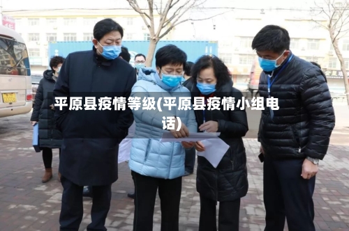 平原县疫情等级(平原县疫情小组电话)-第2张图片