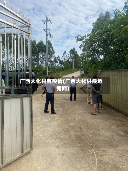 广西大化县有疫情(广西大化县最近新闻)-第2张图片