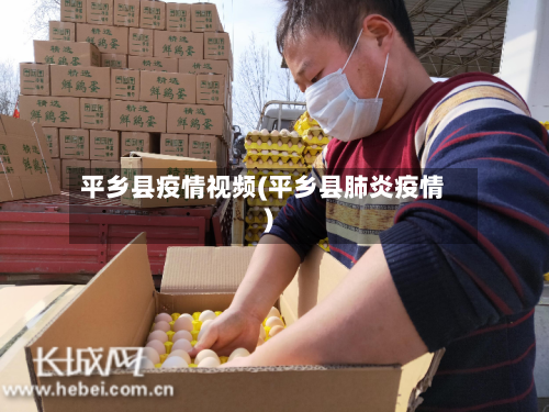平乡县疫情视频(平乡县肺炎疫情)-第2张图片