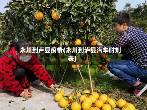 永川到卢县疫情(永川到泸县汽车时刻表)-第1张图片