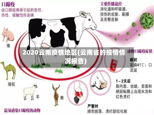 2020云南疫情地区(云南省的疫情情况报告)-第1张图片