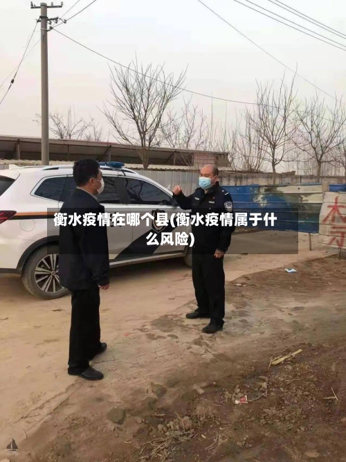 衡水疫情在哪个县(衡水疫情属于什么风险)-第1张图片