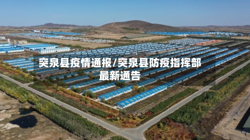 突泉县疫情通报/突泉县防疫指挥部最新通告-第3张图片