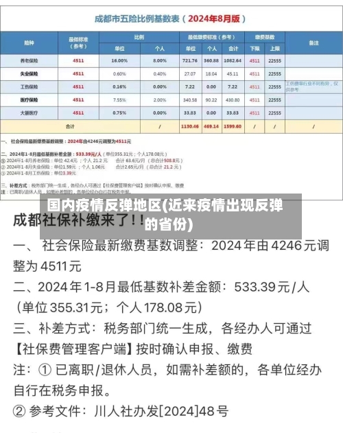 国内疫情反弹地区(近来疫情出现反弹的省份)-第1张图片
