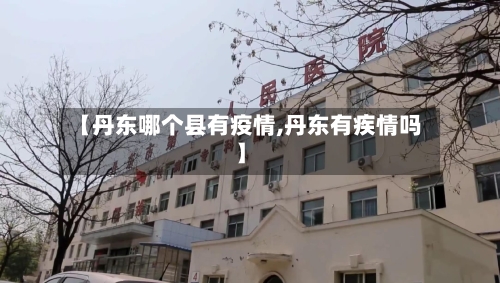 【丹东哪个县有疫情,丹东有疾情吗】-第1张图片