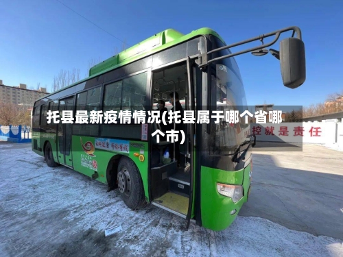 托县最新疫情情况(托县属于哪个省哪个市)-第2张图片