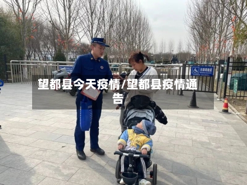 望都县今天疫情/望都县疫情通告-第2张图片