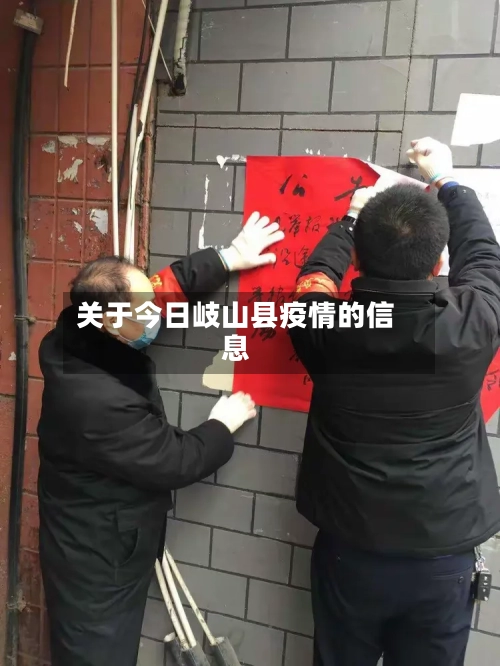 关于今日岐山县疫情的信息-第1张图片
