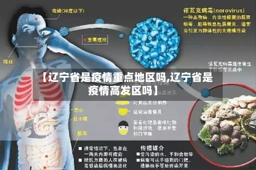 【辽宁省是疫情重点地区吗,辽宁省是疫情高发区吗】-第1张图片