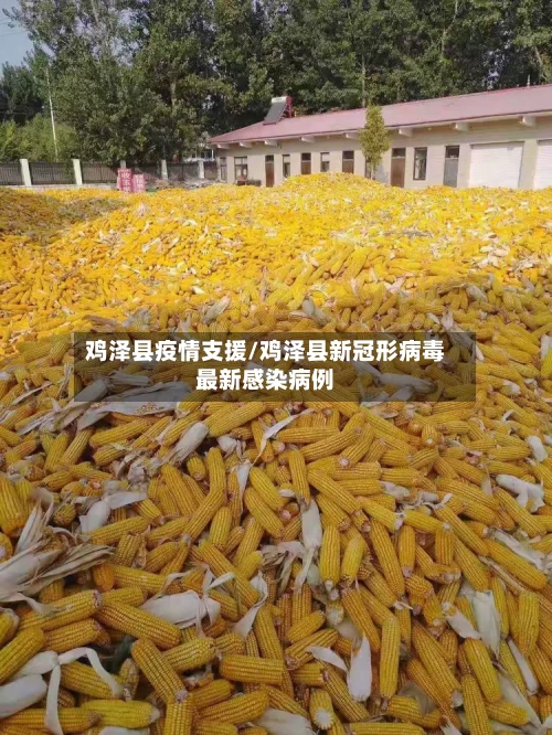 鸡泽县疫情支援/鸡泽县新冠形病毒最新感染病例-第1张图片