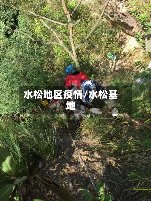 水松地区疫情/水松基地-第1张图片